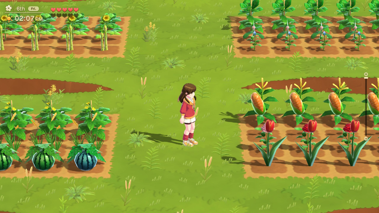 Natsume Inc